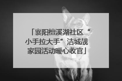 襄阳檀溪湖社区“小手拉大手”洁城靓家园活动暖心收官